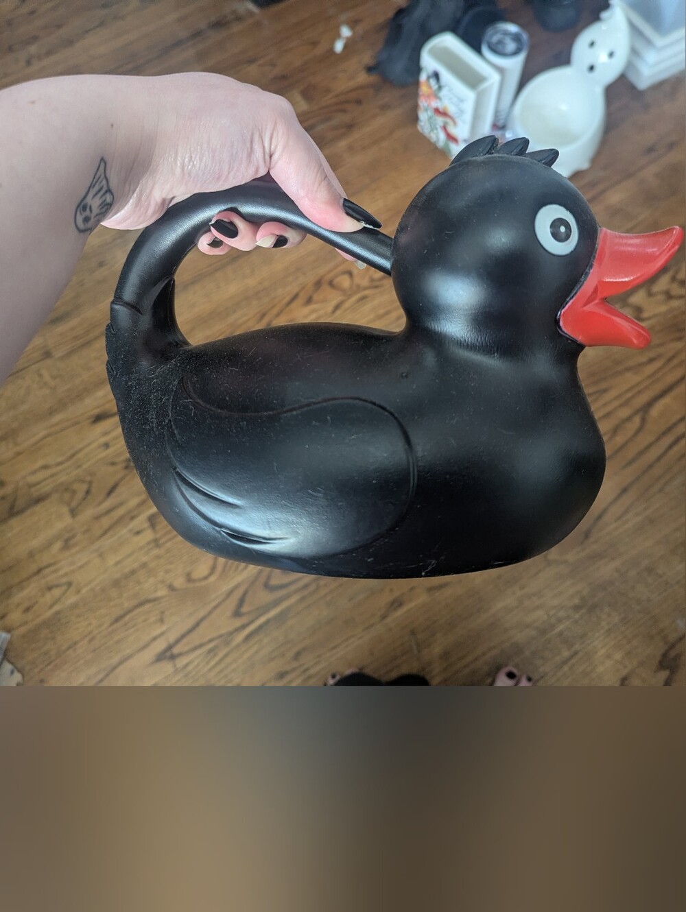 Duck Plant Watering Can